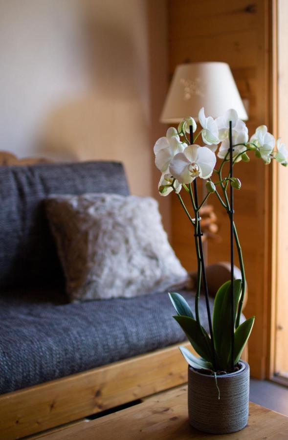 Apartment Balneo Au Coeur Des Alpes *
