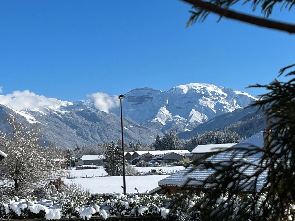 Balnéo Au Coeur Des Alpes Appartamento *